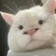 一米六黑皮忧郁小王子