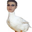 PID