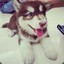 小雨JerrY