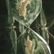 好牛不提当年马