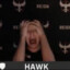stork