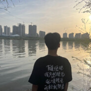 此生无悔入华夏