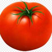 ПОМИДОР
