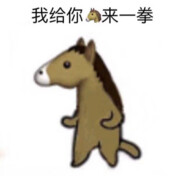 dzp