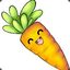 Carrot