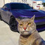 KITTINFLY-