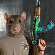 Rat