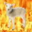 BlazingSheep