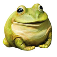 BenevolentFrog