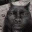 kujo