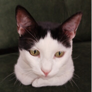 pik