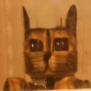 PixelCatッ - steam id 76561198807073243