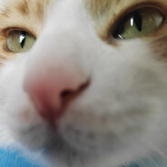 叽里咕噜什么呢