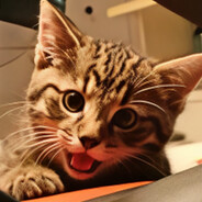 mtilicious's avatar