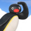 noot noot