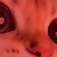 baconbarrage