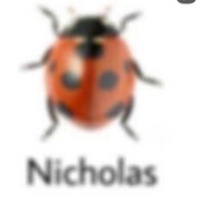Nicholas (real)