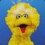 BIGBIRD42069