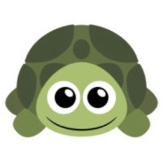 TTURTLE