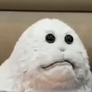 Porkabludclat avatar