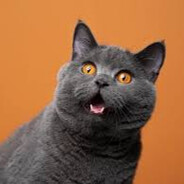 leoooof3