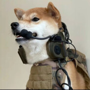 春风若有怜花意