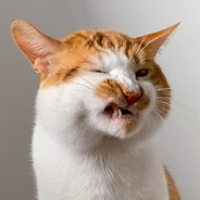 叫我英俊不然憋说话