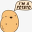 potato