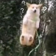 苏大鱼的鱼鱼鱼鱼鱼