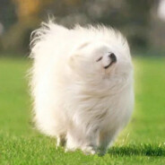 小兔子爱黄桃_77