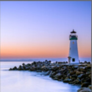 你们都在学只有我在玩