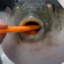 Lethal Goldfish