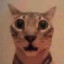 :O