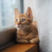 DJ搓盘手菜徐坤