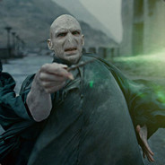 伏地魔大战老阴逼