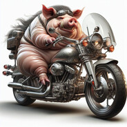 Свинья на моцике