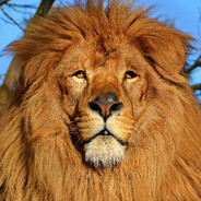ASLAN