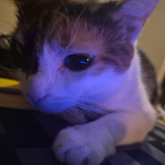 Klobrille Steam avatar