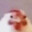 Debeli Kurac avatar