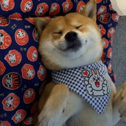 天下何人配白衣