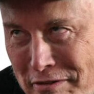 VeinedLizard