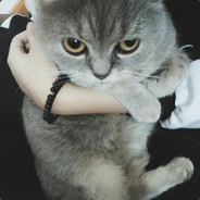 大哥大嫂过年好