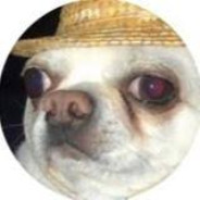 ahmed lil dick's Steam avatar