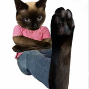 面条二十块一斤怎么不