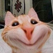 Яйцо дрозда