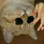 Wumbologist