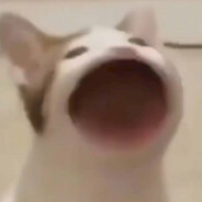 hganhchan