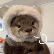 我也没说不服啊