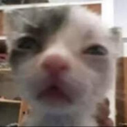 𝔪𝔞𝔯𝔱𝔲𝔫