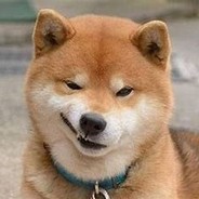 你可以永远相信你狗哥